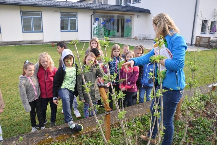 Aufladung Biodiversität