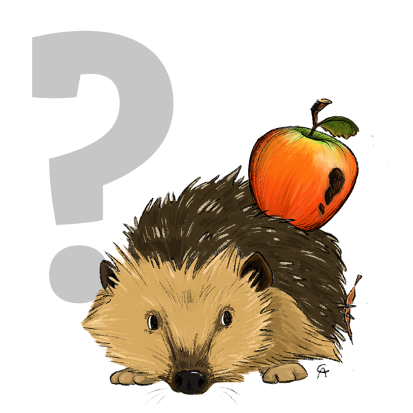 Was ist … ? Was ist ... ?