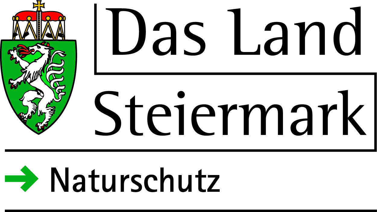 Wildnis im Wasserloch