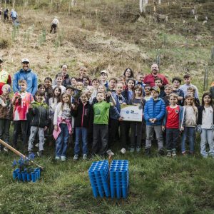 Erfolgreiche Baumpflanzaktion mit Schule, Bevölkerung und Gemeinde – Altenmarkt b. St. Gallen
