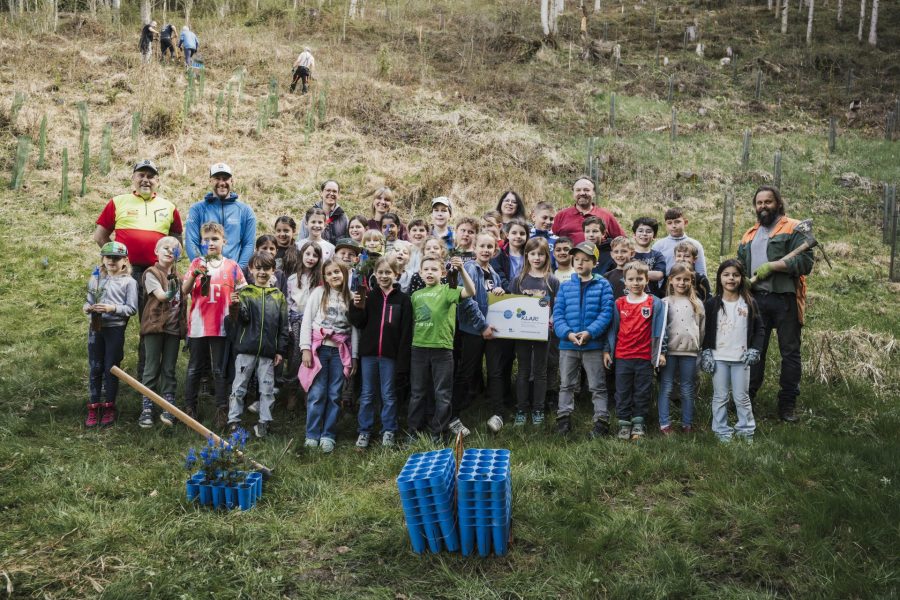 Erfolgreiche Baumpflanzaktion mit Schule, Bevölkerung und Gemeinde – Altenmarkt b. St. Gallen