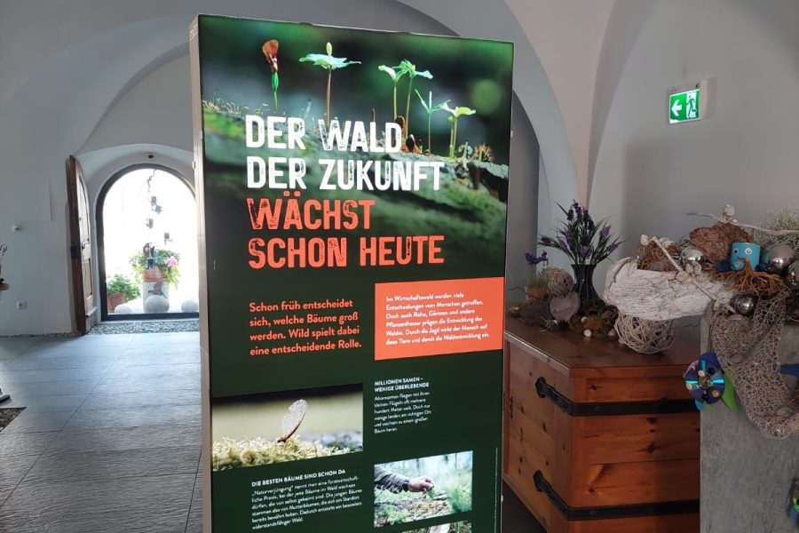 Wanderausstellung Wald & Wild