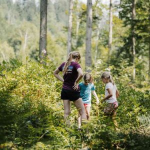 Erlebniswald Eisenwurzen | Lernen, Erleben, Zukunft gestalten